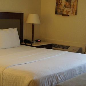 Lexington Inn & Suites-Elgin